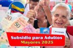 Subsidio para Adultos Mayores 2025: Revisa si Eres Elegible y el Calendario de Pagos